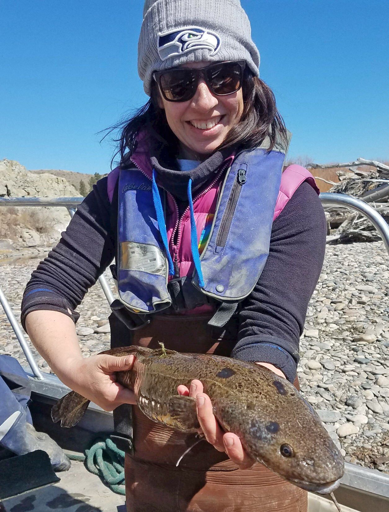 Yellowstone burbot